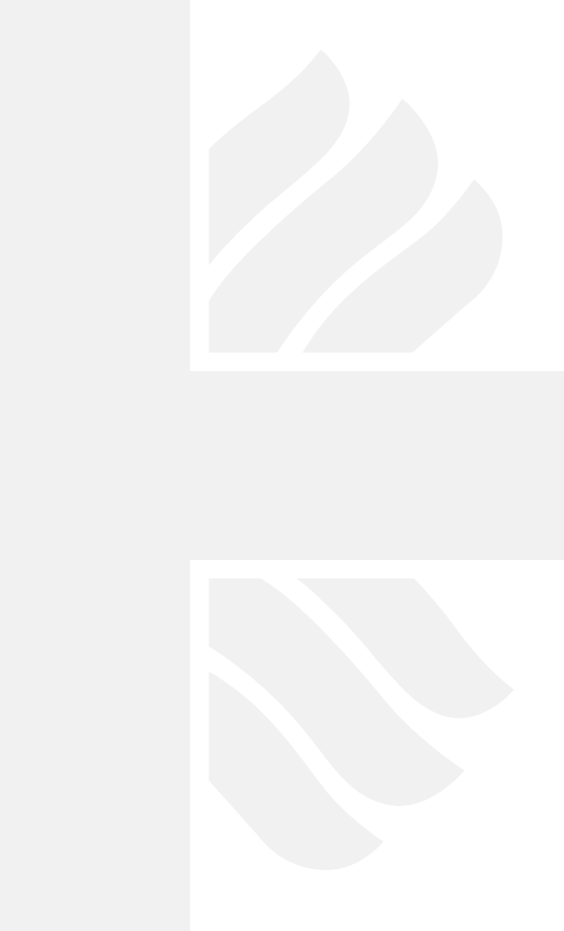 Logo Caritas Logo Caritas